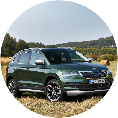 Ремонт Ремонт, Покраска, Замена Дверей Skoda Karoq