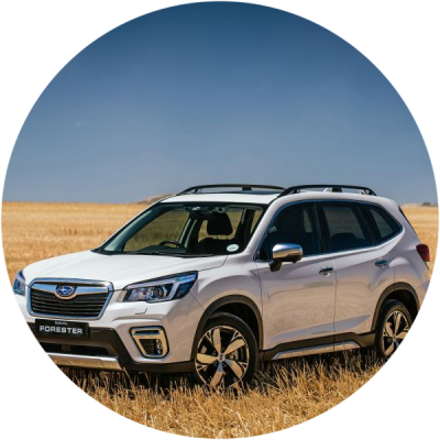 Ремонт Удаление Царапин На Автомобиле Subaru Forester